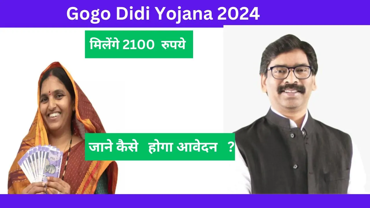 Gogo Didi Yojana
